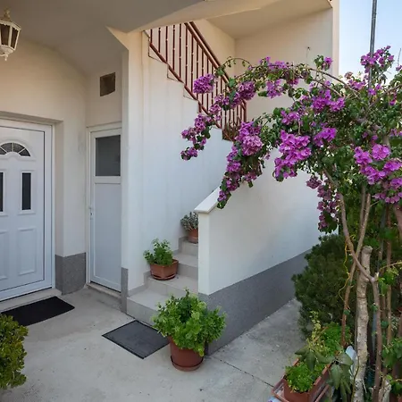 Near Babic Lejlighed *